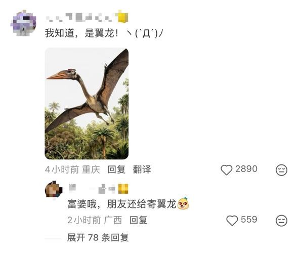 求助：“同学寄来的礼物，能吃吗？”网友：“我知道，是翼龙！”评论区太精彩