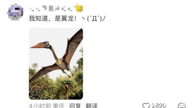 求助:“同学寄来的礼物,能吃吗?”网友:“我知道,是翼龙!”评论区太精彩 求助:“同学寄来的礼物,能吃吗?”网友:“我知道,是翼龙!”评论区太精彩