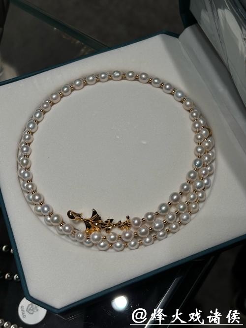 上海这条项链不简单,串连50颗明珠,春节前送市民 上海这条项链不简单,串连50颗明珠,春节前送市民
